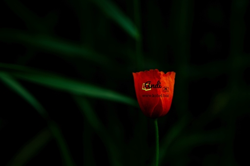 AndiFoto | Meine Bilder | Werbefotograf auf alleFotografen