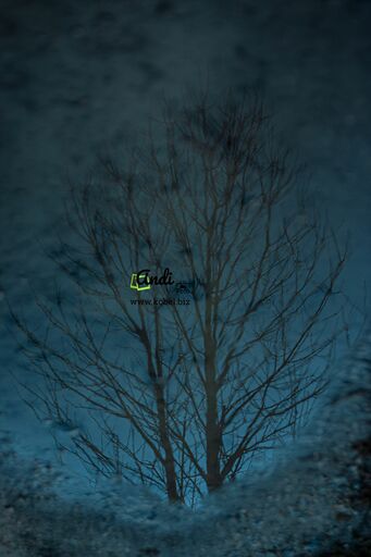 AndiFoto | Meine Bilder | Werbefotograf auf alleFotografen