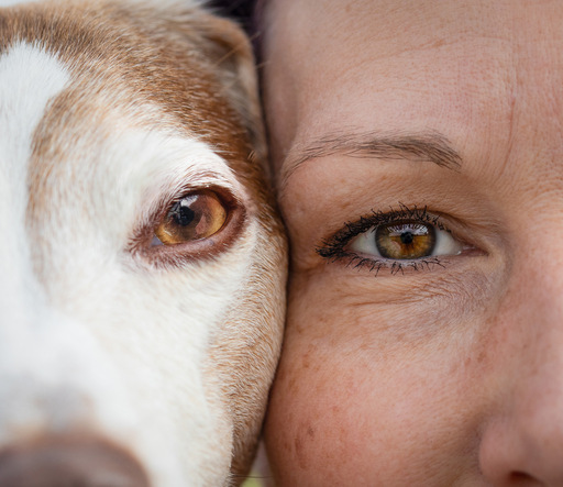 DeDoll-Fotografie  | Outdoorshootings  | Pferdefotograf auf alleFotografen