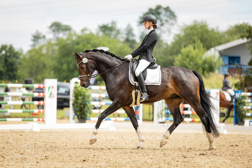 Bettina Gothe Fotografie | Pferde | Pferdefotograf auf alleFotografen