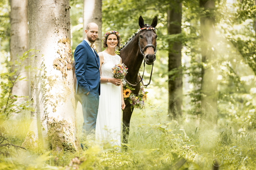 Bettina Gothe Fotografie | Pferde | Tierfotograf auf alleFotografen