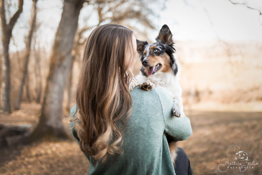 Bettina Gothe Fotografie | Hunde | Pferdefotograf auf alleFotografen