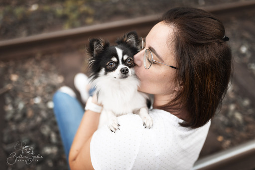 Bettina Gothe Fotografie | Hunde | Tierfotograf auf alleFotografen