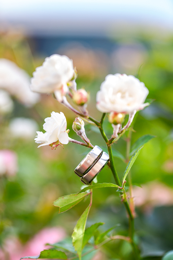 neero Fotografie | Hochzeit | Portraitfotograf auf alleFotografen