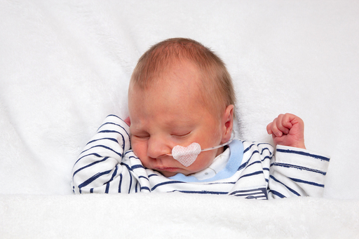 neero Fotografie | Baby | Portraitfotograf auf alleFotografen