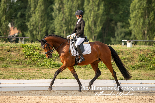 Pics4Emotions Photography | Pferdesport | Sportfotograf auf alleFotografen