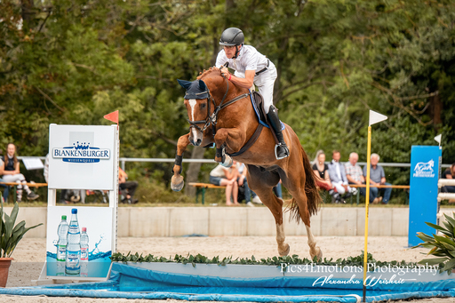 Pics4Emotions Photography | Pferdesport | Sportfotograf auf alleFotografen