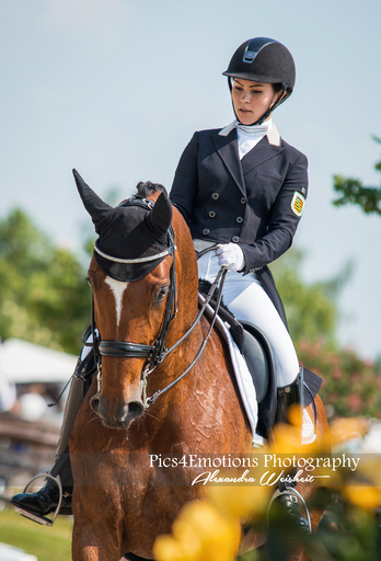 Pics4Emotions Photography | Pferdesport | Tierfotograf auf alleFotografen