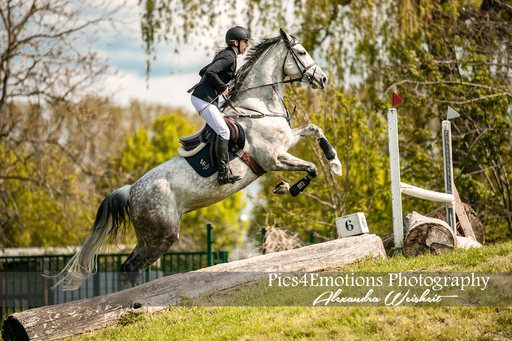 Pics4Emotions Photography | Pferdesport | Sportfotograf auf alleFotografen
