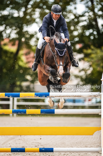 Pics4Emotions Photography | Pferdesport | Sportfotograf auf alleFotografen