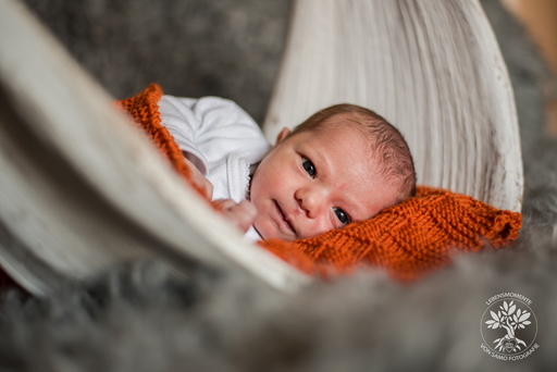 SAMO Fotografie | Baby & Neugeborene | Kinderfotograf auf alleFotografen
