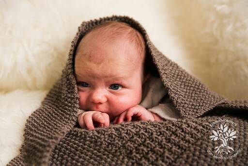 SAMO Fotografie | Baby & Neugeborene | Portraitfotograf auf alleFotografen