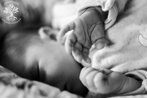 SAMO Fotografie | Baby & Neugeborene | Hochzeitsfotograf auf alleFotografen