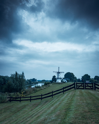 Daniela Drews | Landschaften | Hundefotograf auf alleFotografen