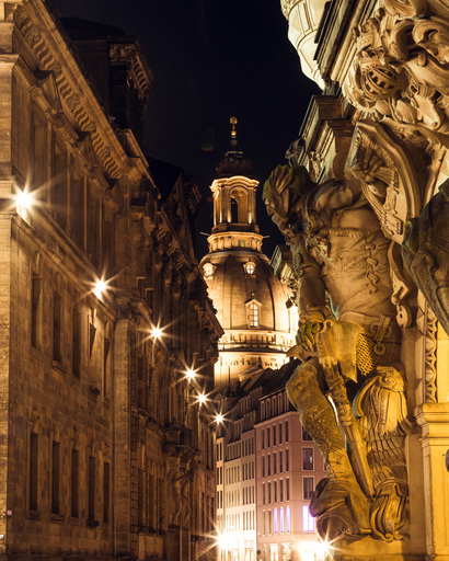 Daniela Drews | Stadt | Tierfotograf auf alleFotografen