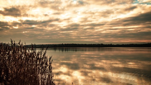 Fotografen in Salzgitter finden