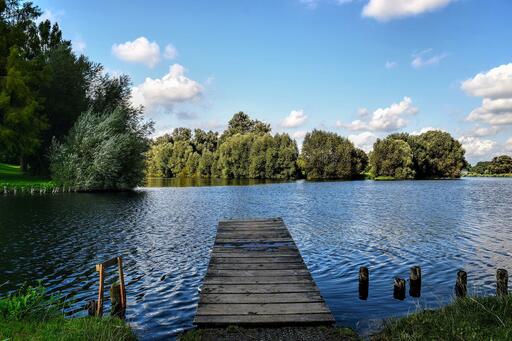 Fotografen in Salzgitter finden