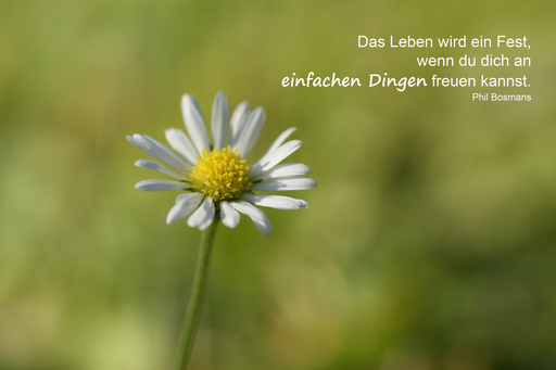 Angel | Sprüche | Foodfotograf auf alleFotografen