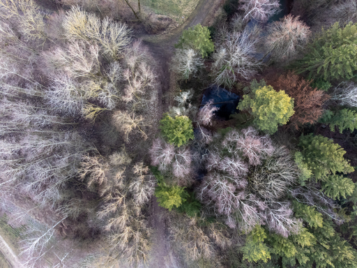 Mariowill-Fotografie | Drohnenaufnahmen | Foodfotograf auf alleFotografen