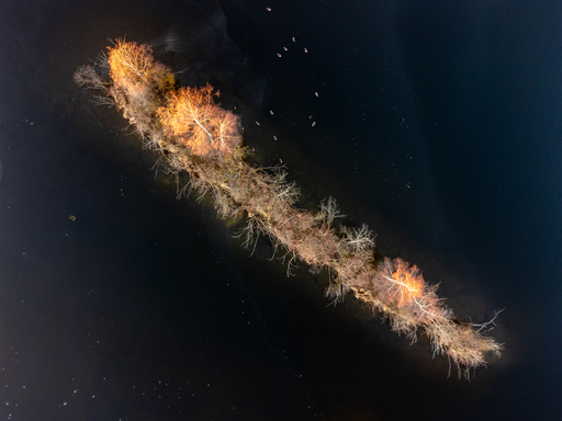 Mariowill-Fotografie | Drohnenaufnahmen | Werbefotograf auf alleFotografen