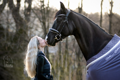 Lisa-Maria Kirchbach Fotografie | Samtnüstern und Seidenmähnen | Tierfotograf auf alleFotografen