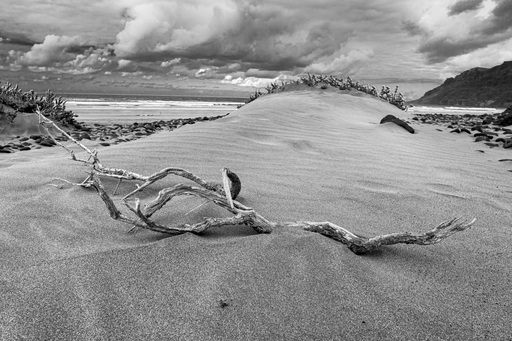 Irisphoto.de | Fotografie by Flatfield | Landschaftsfotografie | Aktfotograf auf alleFotografen