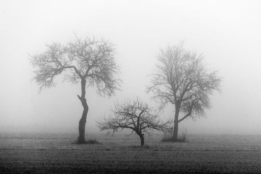 Irisphoto.de | Fotografie by Flatfield | Landschaftsfotografie | Kunstfotograf auf alleFotografen
