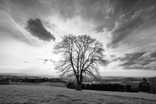 Irisphoto.de | Fotografie by Flatfield | Landschaftsfotografie | Paarfotograf auf alleFotografen