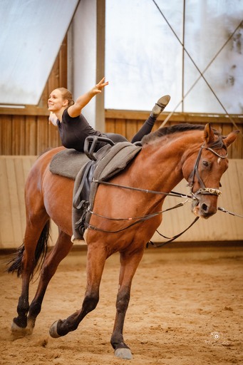 PhotoGottschalk | Shootings | Tierfotograf auf alleFotografen