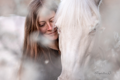 sie.fotografiert.jetzt.pferde | Pferde | Pferdefotograf auf alleFotografen