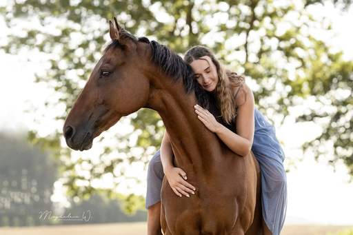 sie.fotografiert.jetzt.pferde | Pferde | Hundefotograf auf alleFotografen