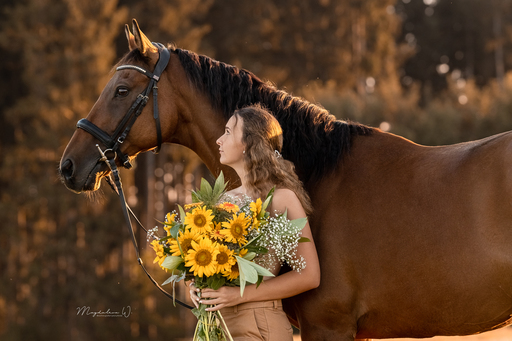 sie.fotografiert.jetzt.pferde | Pferde | Hundefotograf auf alleFotografen