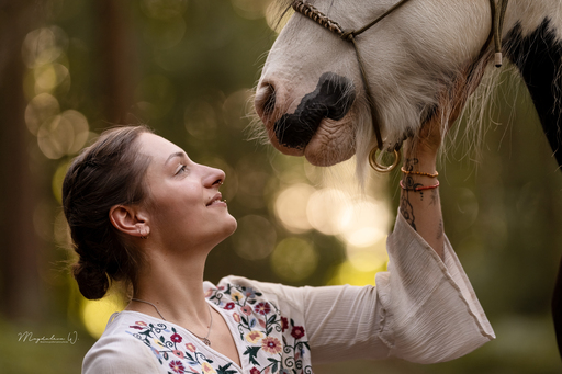 sie.fotografiert.jetzt.pferde | Pferde | Hundefotograf auf alleFotografen