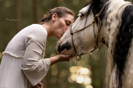 sie.fotografiert.jetzt.pferde | Pferde | Pferdefotograf auf alleFotografen