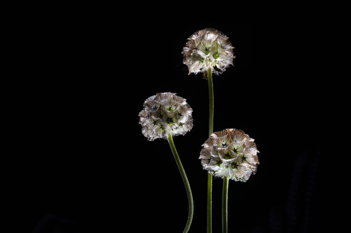 Werbe-Produktfotografie-Essen | Image-Still Life | Portraitfotograf auf alleFotografen