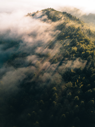 Nico Bogenreuther | Natur | Luftbildfotograf auf alleFotografen