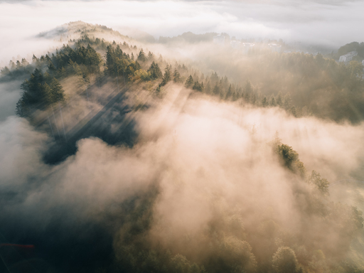 Nico Bogenreuther | Natur | Landschaftsfotograf auf alleFotografen