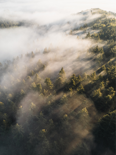 Nico Bogenreuther | Natur | Hochzeitsfotograf auf alleFotografen