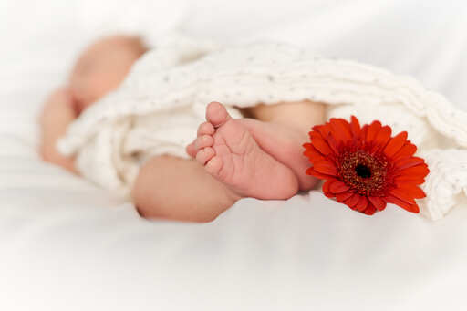 Marlena Schmitz - Fotografi(e)n für dein Leben | Kinder & Babys | Bewerbungsfotograf auf alleFotografen