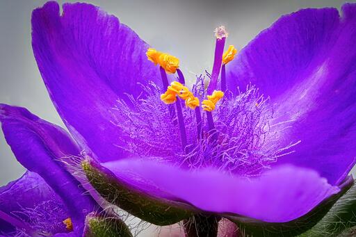 ALCO-EDV FOTO | Natur, Makro | Landschaftsfotograf auf alleFotografen