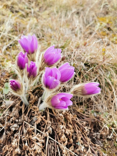 fotoMOMENTs | Momente | Landschaftsfotograf auf alleFotografen
