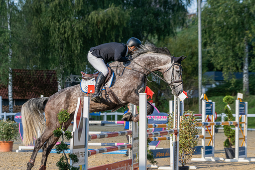 Bambifotografie | Reitsport | Pferdefotograf auf alleFotografen