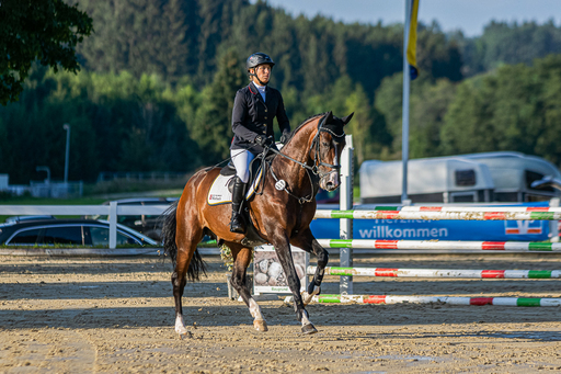 Bambifotografie | Reitsport | Pressefotograf auf alleFotografen