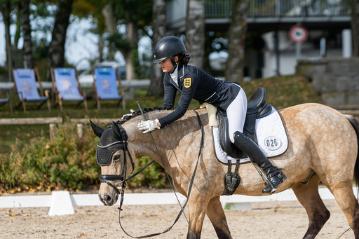 Bambifotografie | Reitsport | Familienfotograf auf alleFotografen