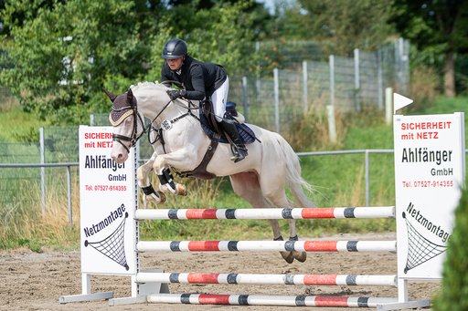Bambifotografie | Reitsport | Hochzeitsfotograf auf alleFotografen