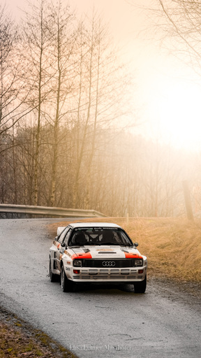 Elisa Lehner-Mayrhofer | Rallye | Hochzeitsfotograf auf alleFotografen