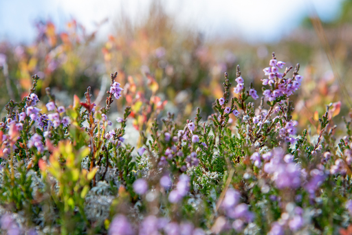 Petra & Gerhard Zwerger-Schoner | Portfolio | Architekturfotograf auf alleFotografen