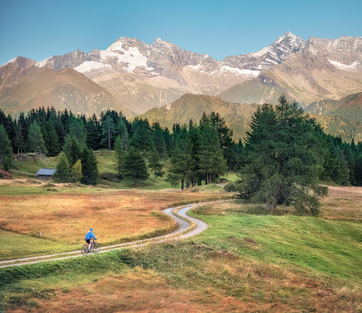 Petra & Gerhard Zwerger-Schoner | Portfolio | Luftbildfotograf auf alleFotografen
