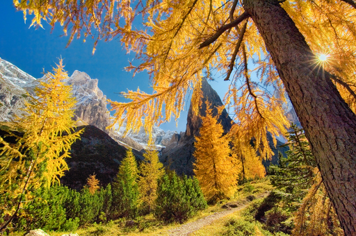 Petra & Gerhard Zwerger-Schoner | Portfolio | Sportfotograf auf alleFotografen