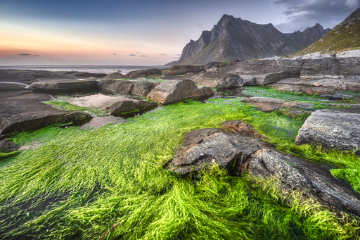 Petra & Gerhard Zwerger-Schoner | Portfolio | Landschaftsfotograf auf alleFotografen